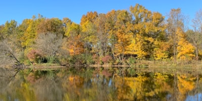 accent photo for Rail Trail Expansion